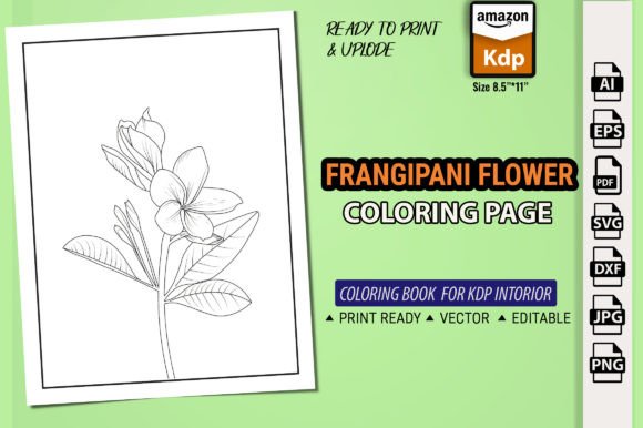 Frangipani Plumeria Flower Graphics for Branding