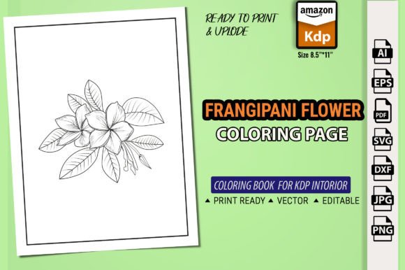 Plumeria Flower Drawing Vector Art Graphics for Crafting
