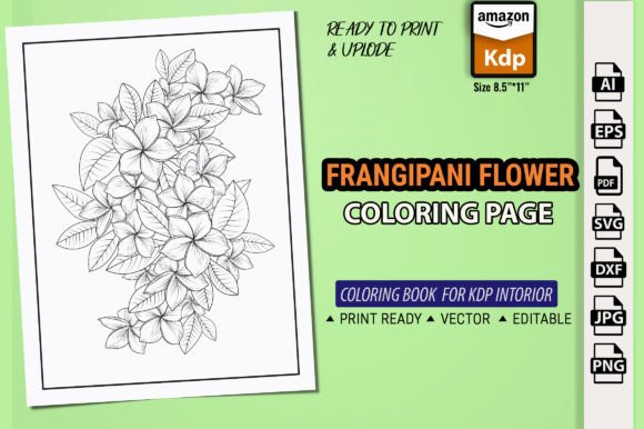 Plumeria Flower Graphics for Coloring Pages